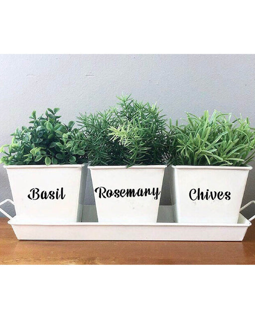 CrafTreat Alphabet stencil for small plant name board ideas on walls 