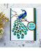 CrafTreat Peacock and Feathers Stencil set 6x6 Inches CrafTreat