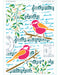 Poppy stencil and flower stencil set CrafTreat Stencil Bird Song Color Image